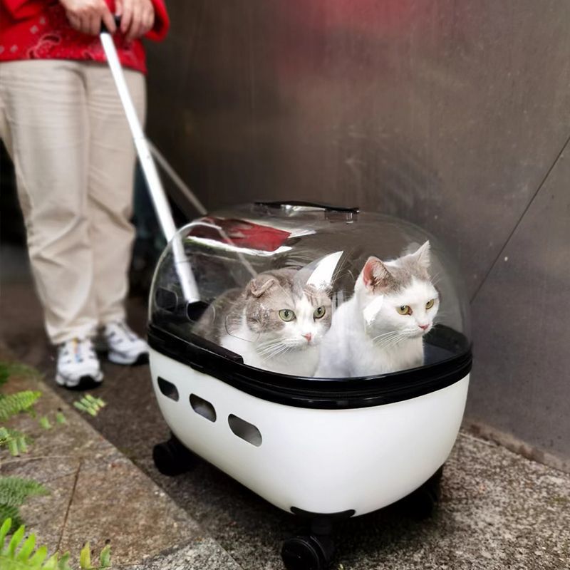 Portable Transparent Pet Trolley