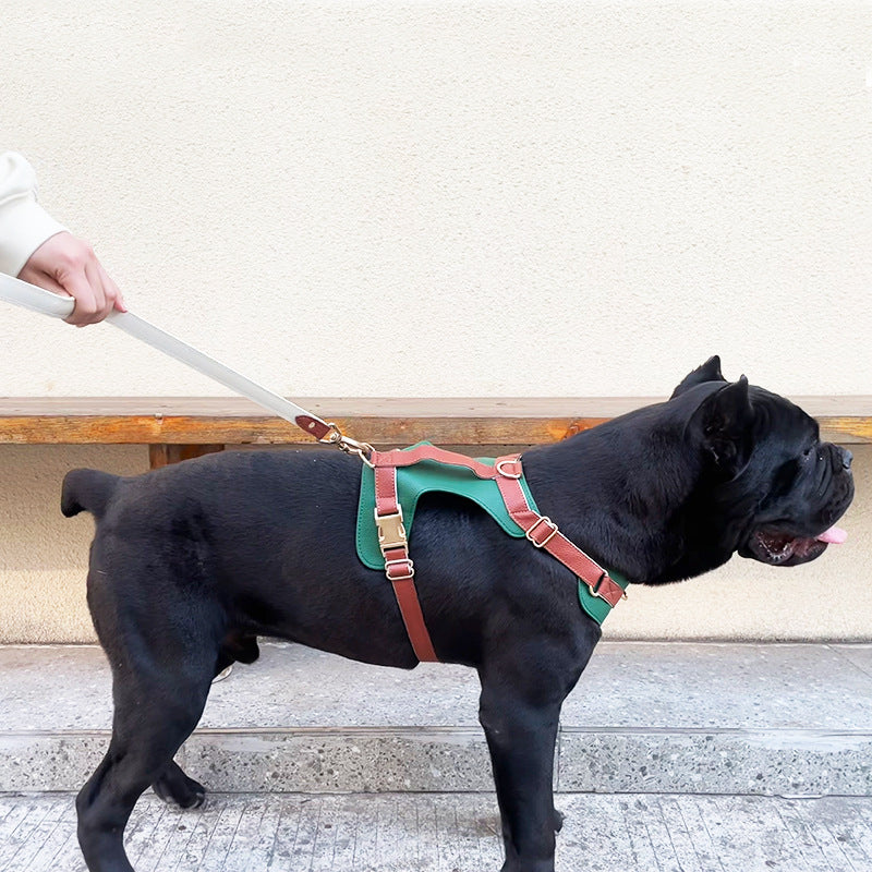 Luxury Leather Dog Harness Set – Collar & Leash