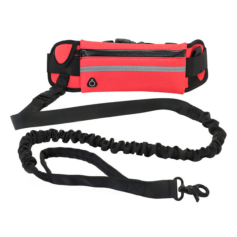 Luxury Pet Harness & Leash Set