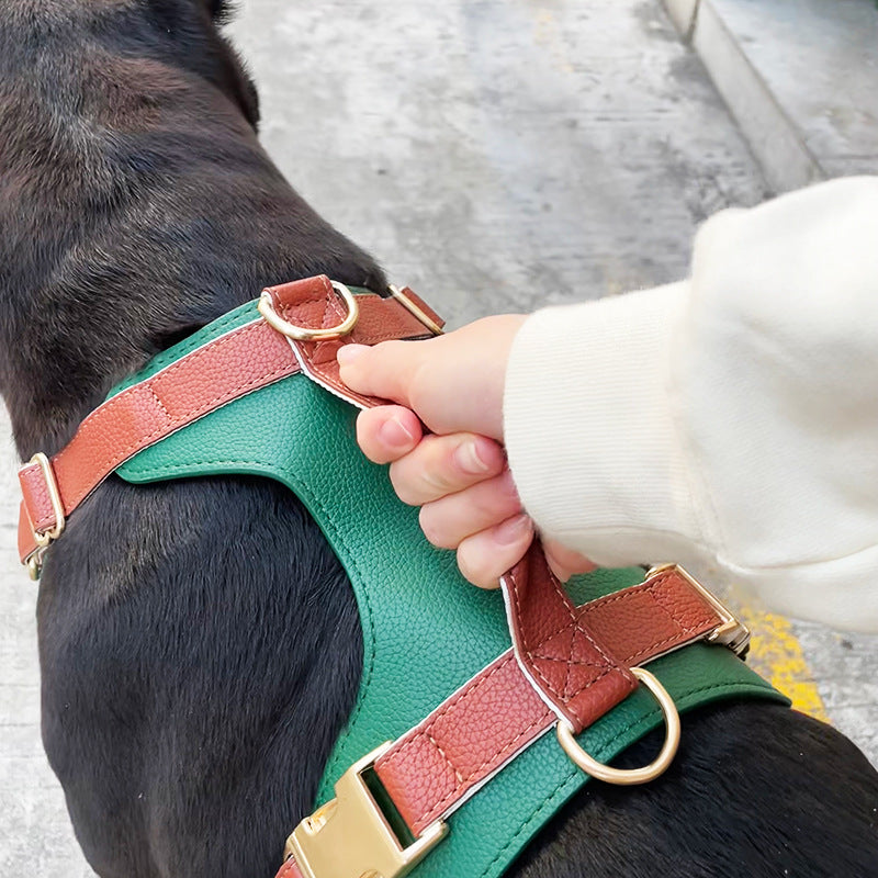 Luxury Leather Dog Harness Set – Collar & Leash