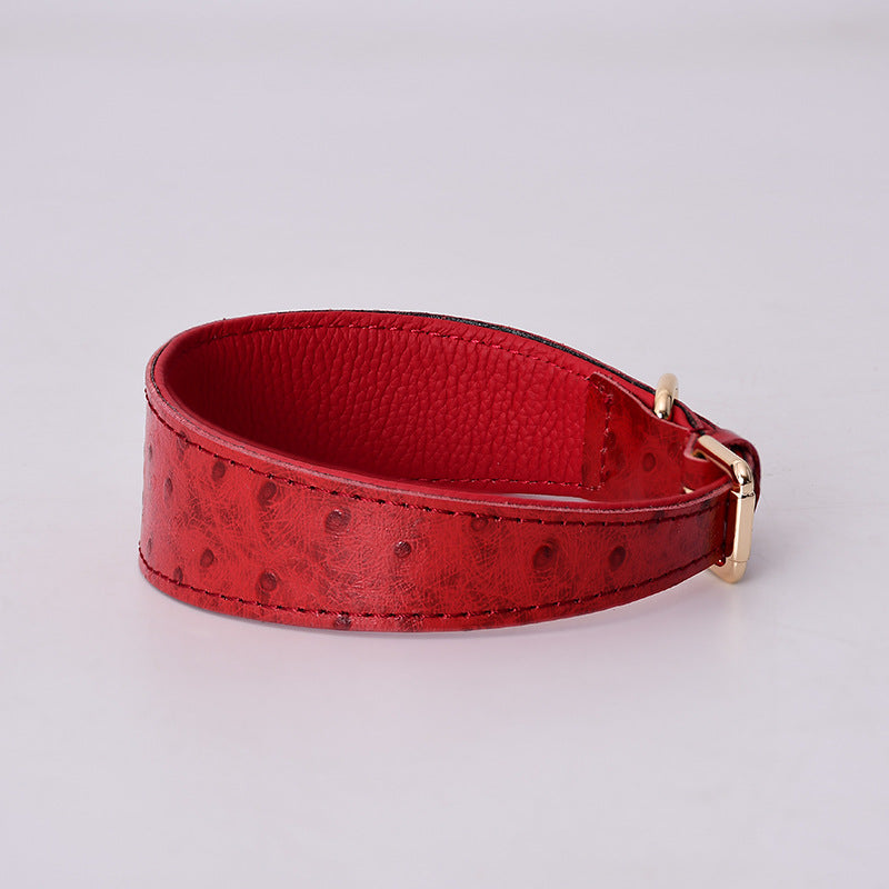 Leather Collar & Leash Set-neck protection