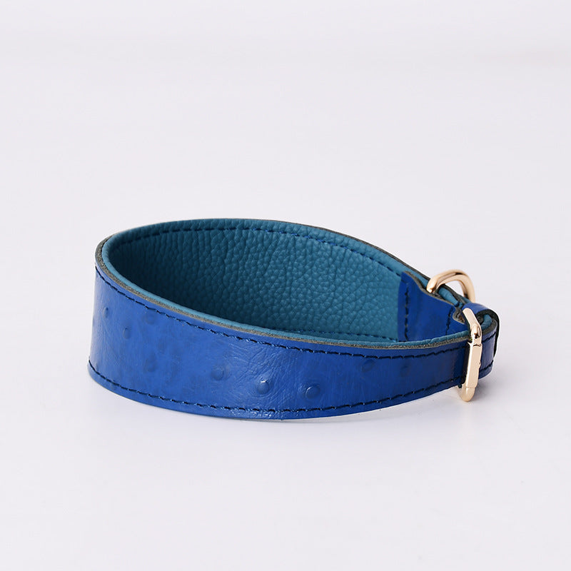 Leather Collar & Leash Set-neck protection