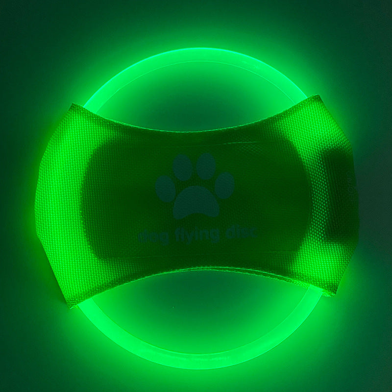 Rechargeable Dog Frisbee