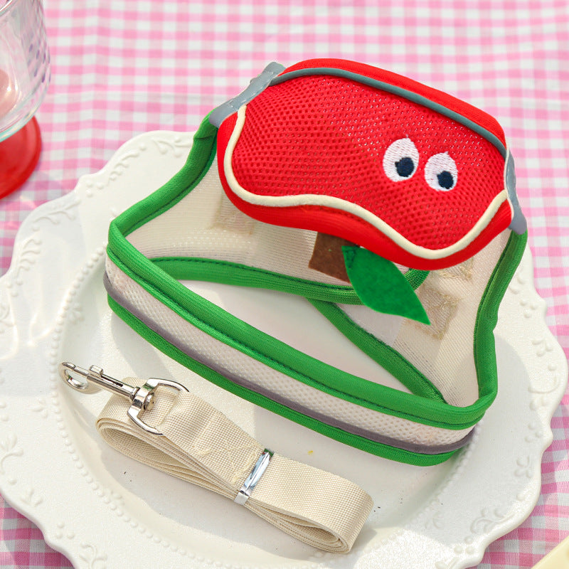 Cute Cartoon Pet Bib & Leash Set