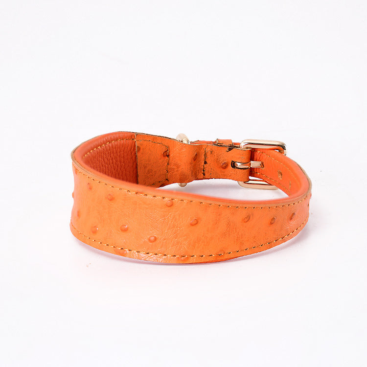Leather Collar & Leash Set-neck protection