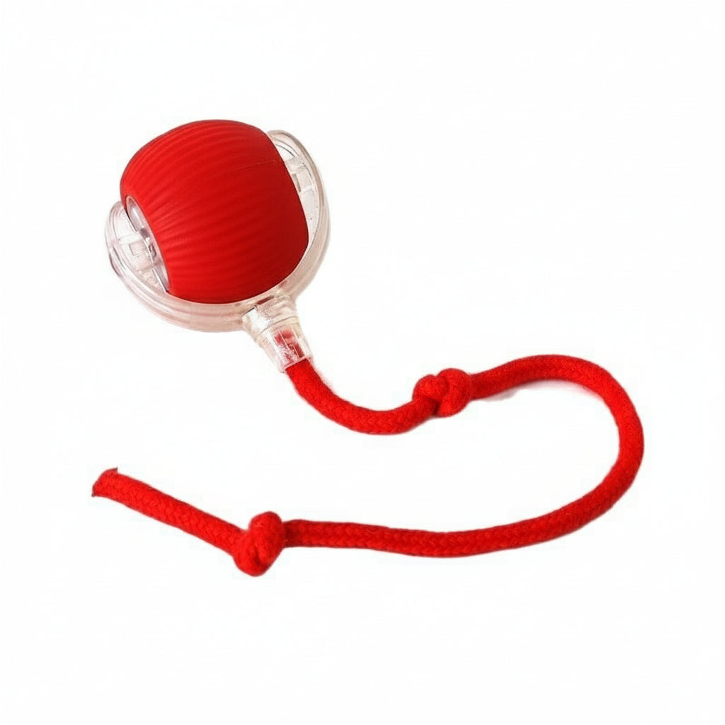 Smart Rolling Cat Toy