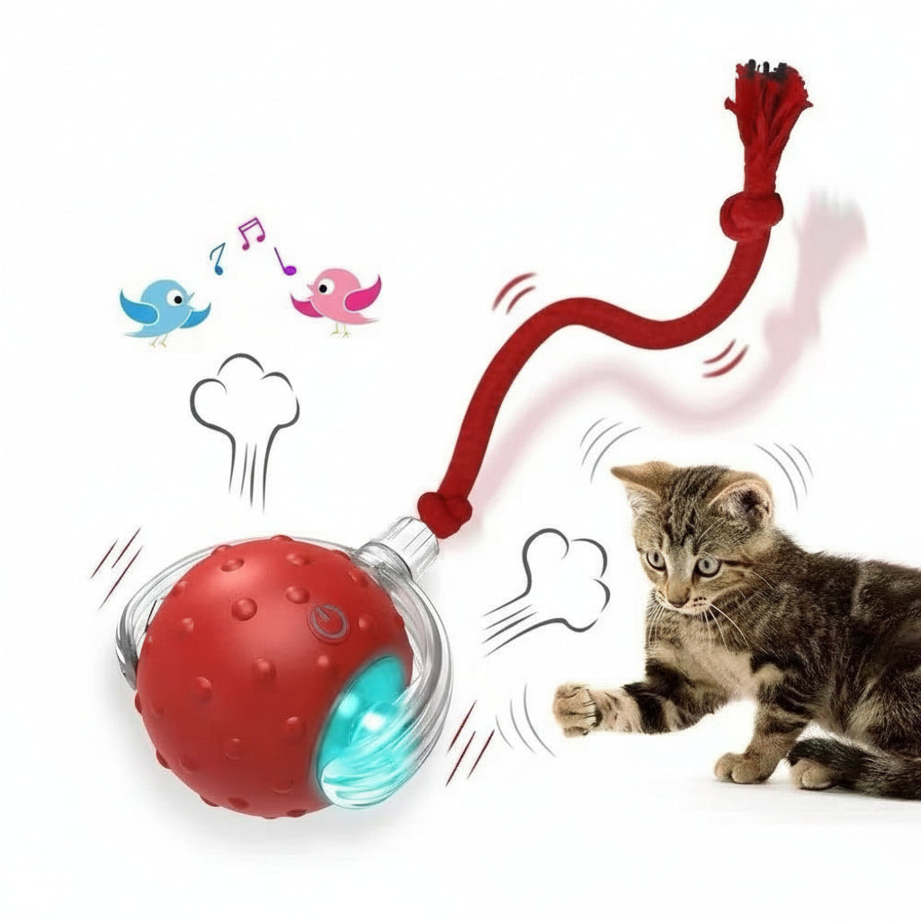 Smart Rolling Cat Toy
