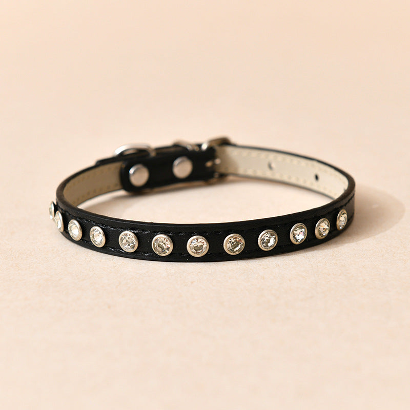 Bee Cat Leash & Adjustable Harness Set