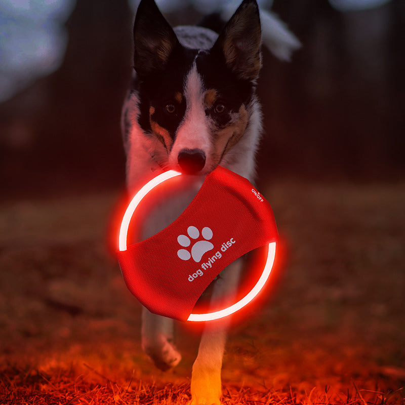 Rechargeable Dog Frisbee