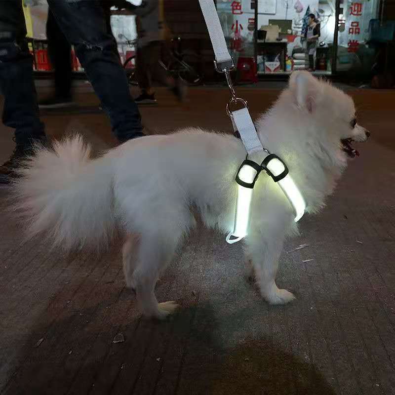Light-Up Dog Harness