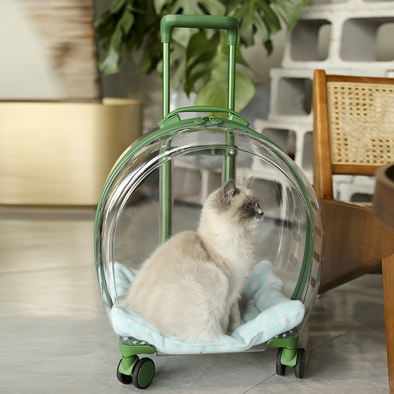 Portable Transparent Pet Trolley