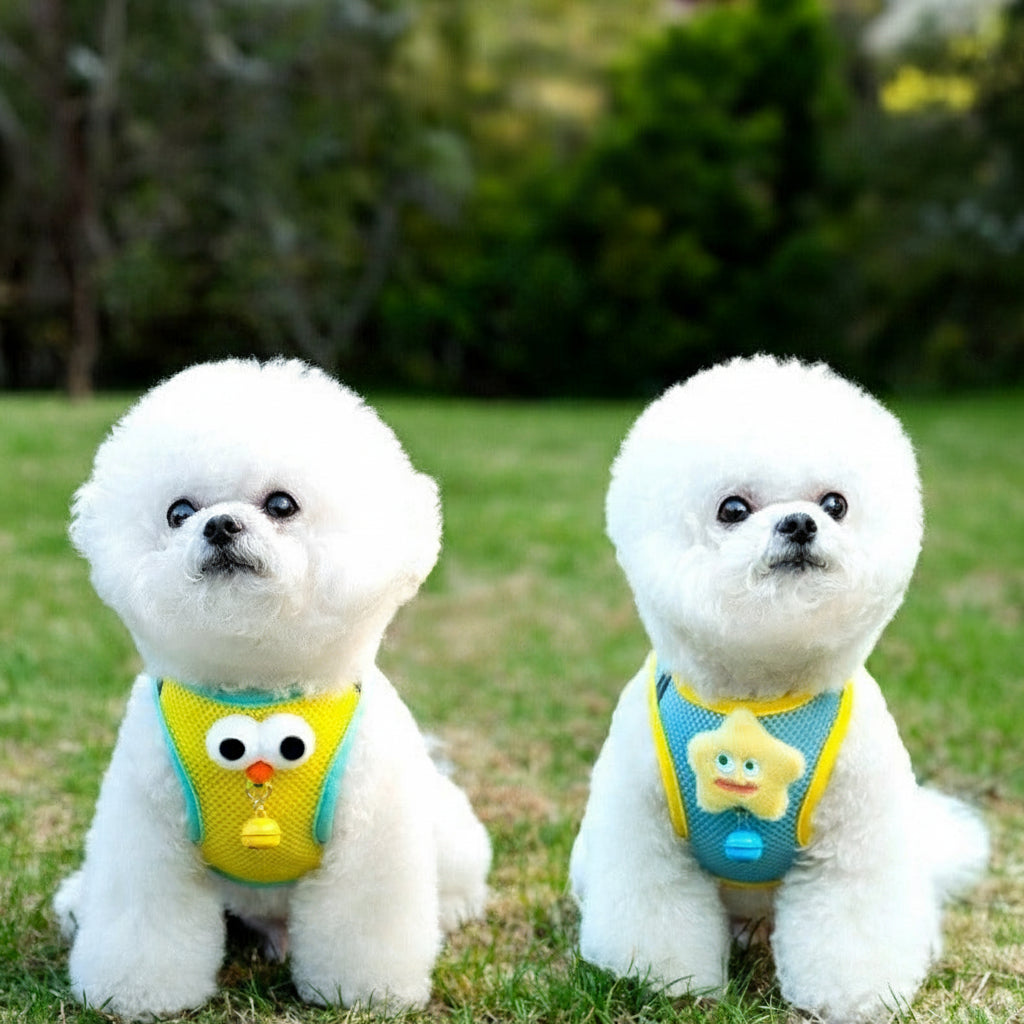 Big-Eyes Cartoon Pet Harness & Leash Set