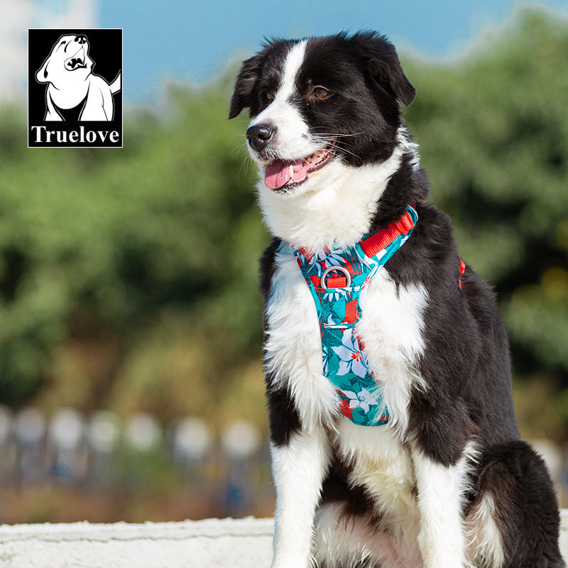 Dog Vest Harness & Leash Set