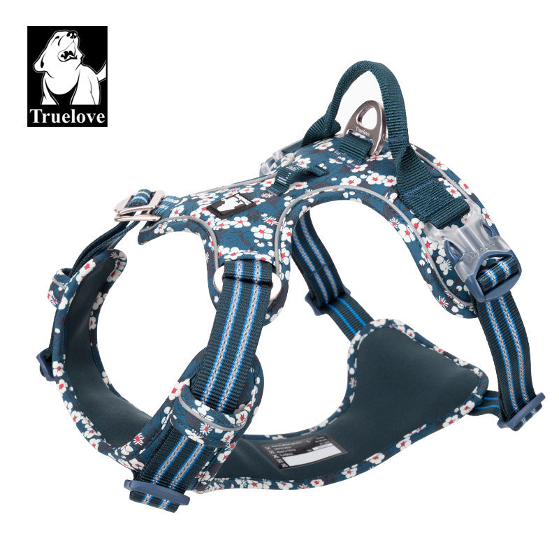 Dog Leash & Vest Harness