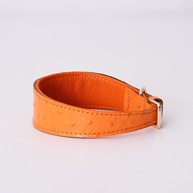 Leather Collar & Leash Set-neck protection