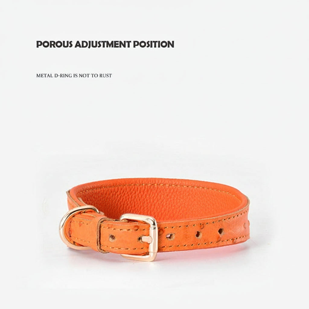 Leather Collar & Leash Set-neck protection