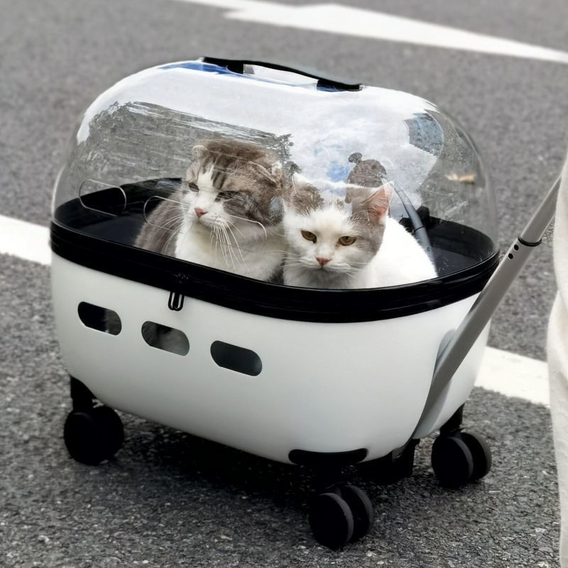 Portable Transparent Pet Trolley