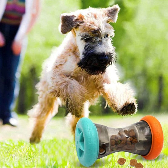 Smart Pet Food Dispenser