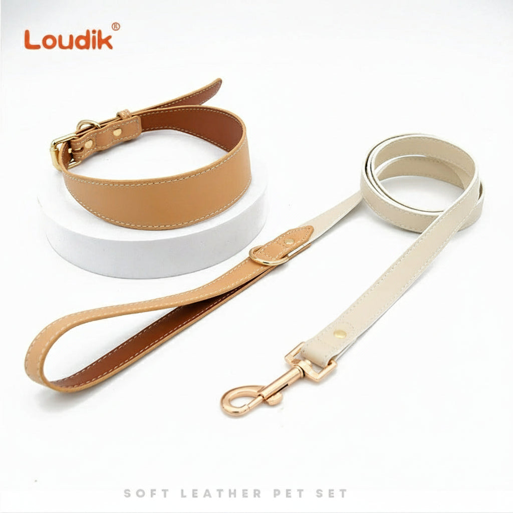 Leather Pet Collars & Leashes