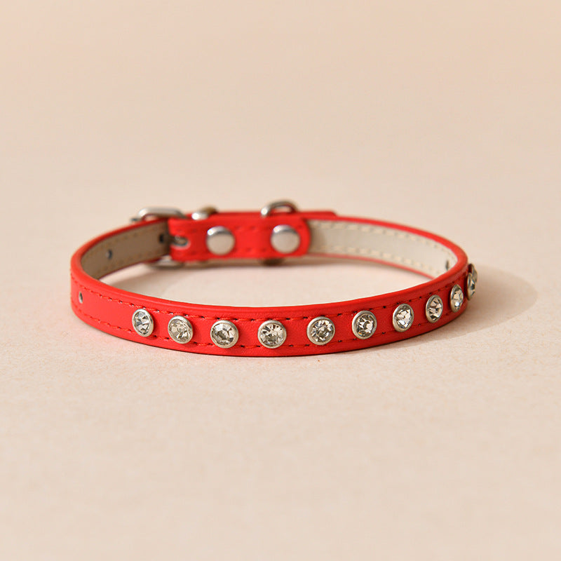 Bee Cat Leash & Adjustable Harness Set