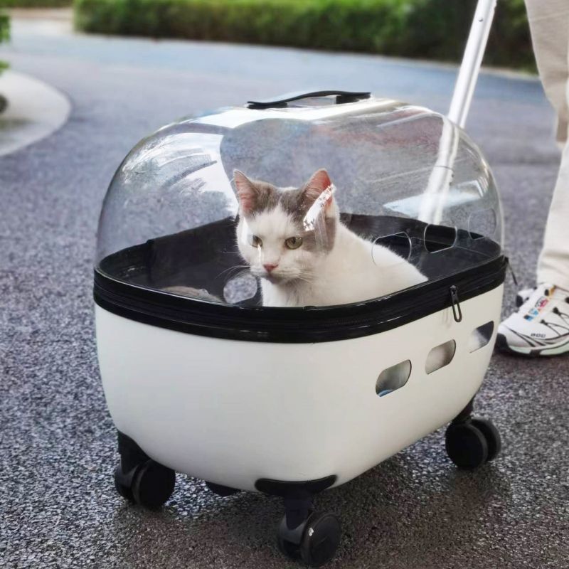 Portable Transparent Pet Trolley
