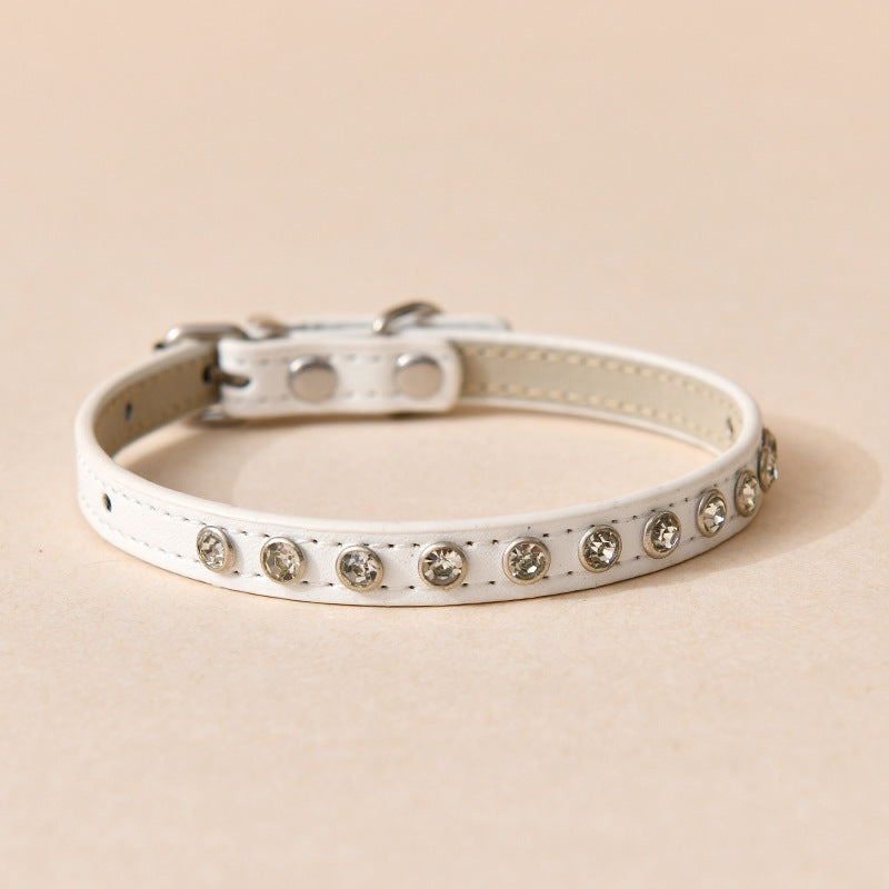 Bee Cat Leash & Adjustable Harness Set