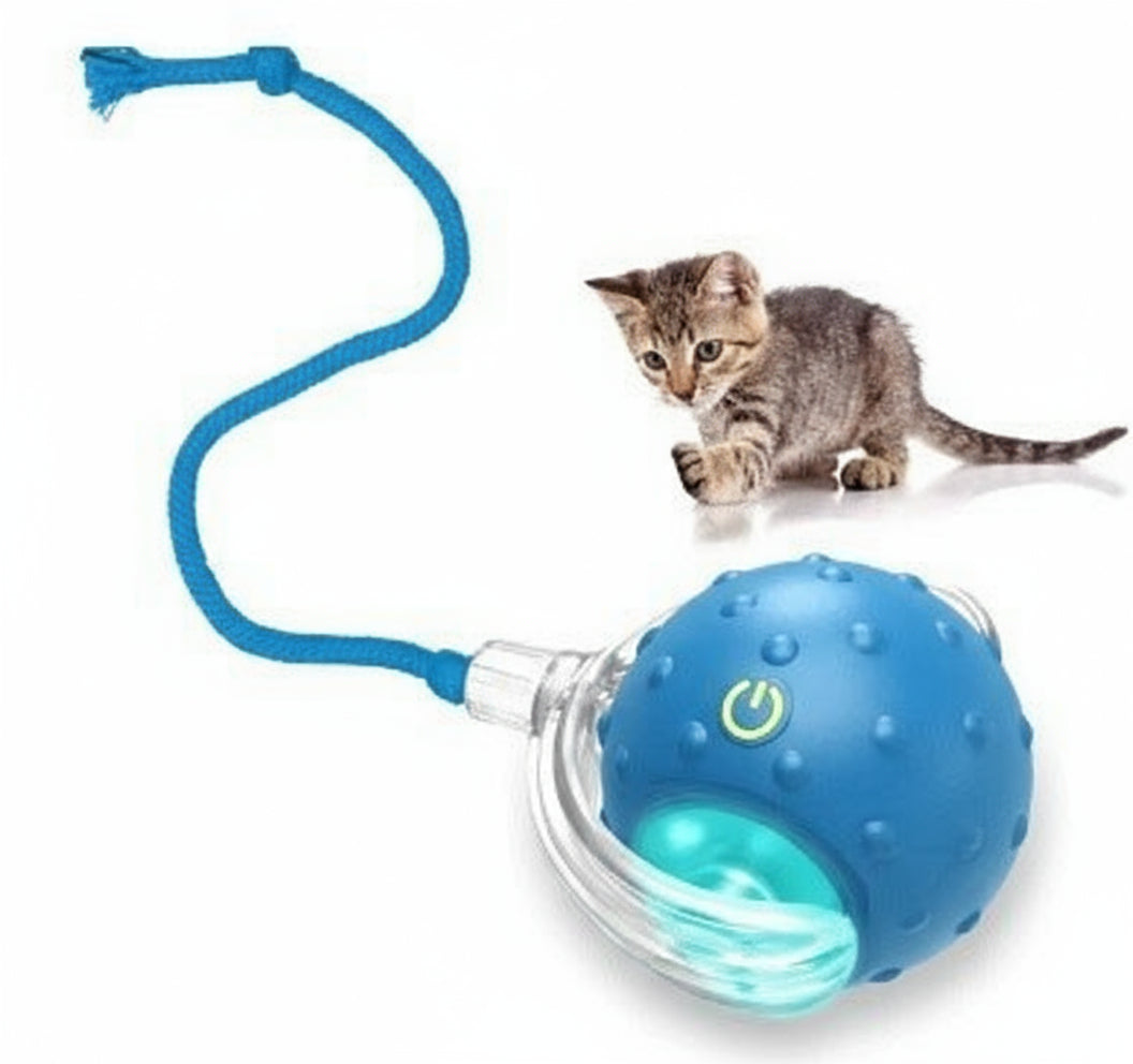 Smart Rolling Cat Toy
