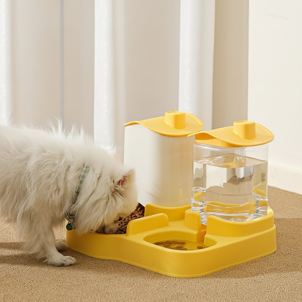 2-in-1 Feeder & Water Bowl