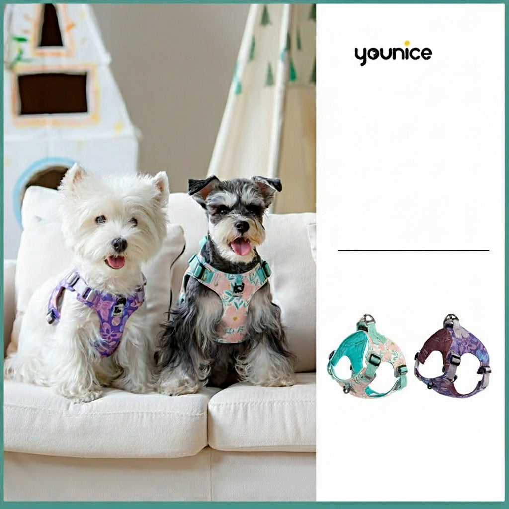 Dog Harness & Traction Rope