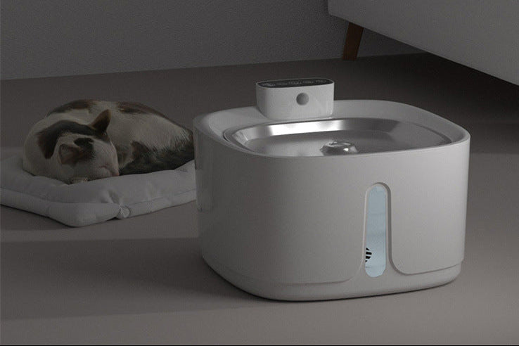 Smart Pet Water Dispenser
