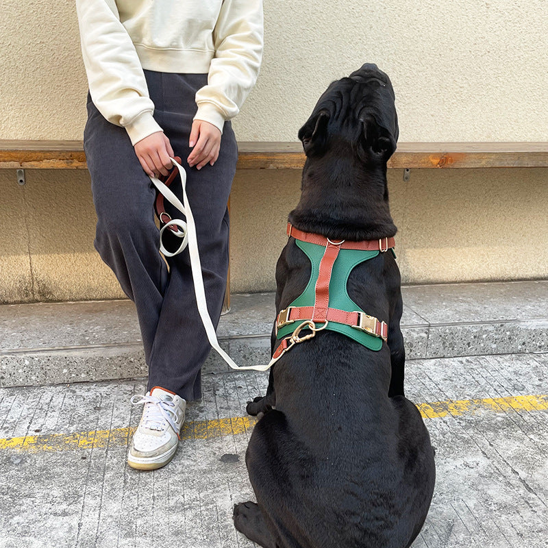 Luxury Leather Dog Harness Set – Collar & Leash