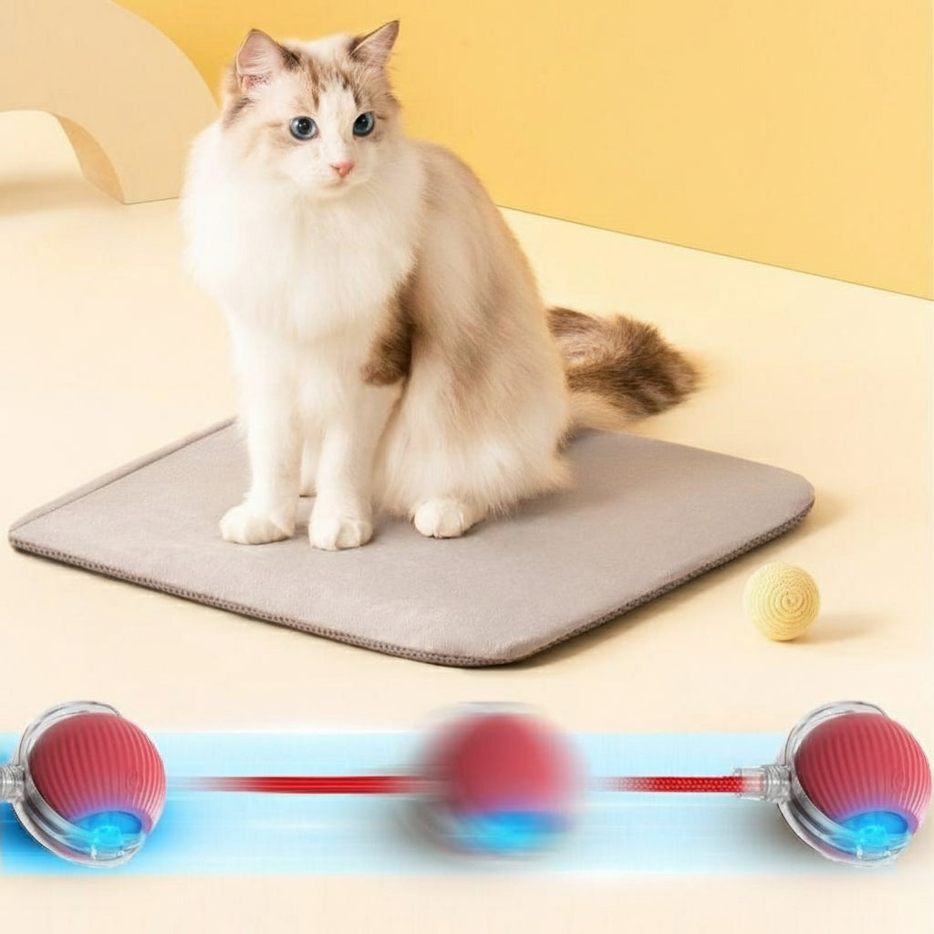 Smart Rolling Cat Toy