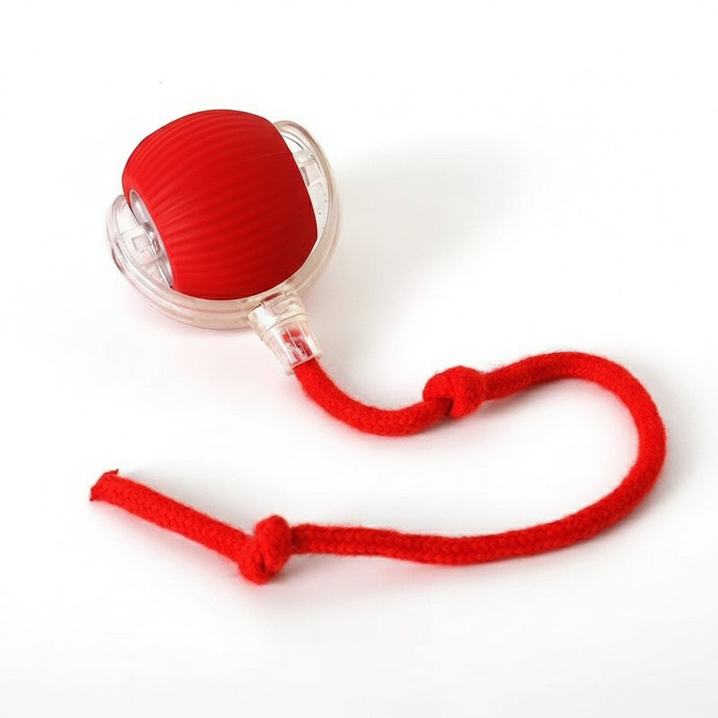 Smart Rolling Cat Toy