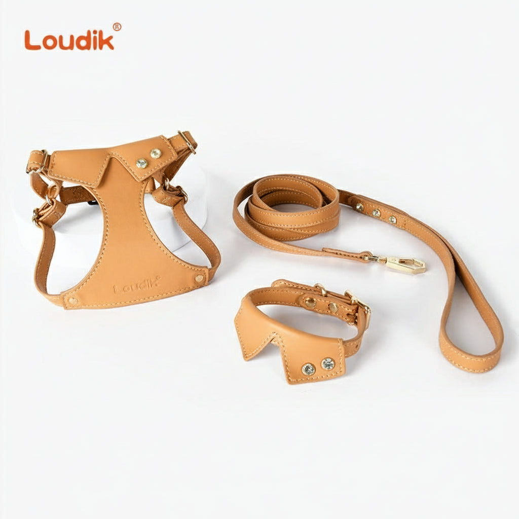 Premium Leather Pet Harness Set