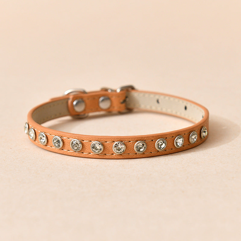 Bee Cat Leash & Adjustable Harness Set