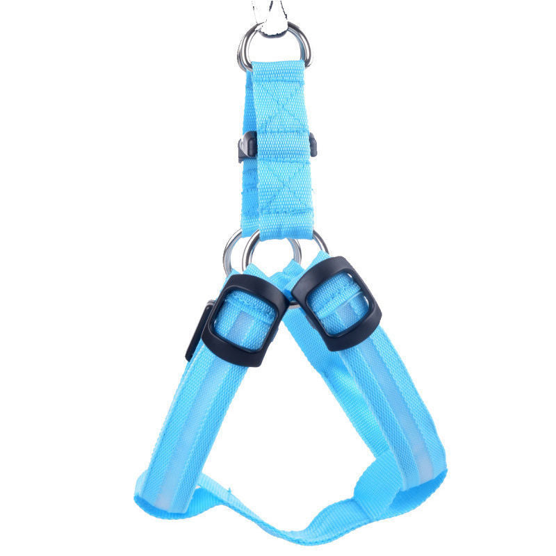 Light-Up Dog Harness