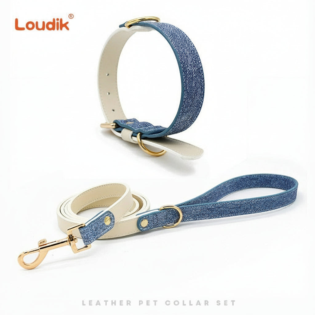 Leather Collar & Leash Set