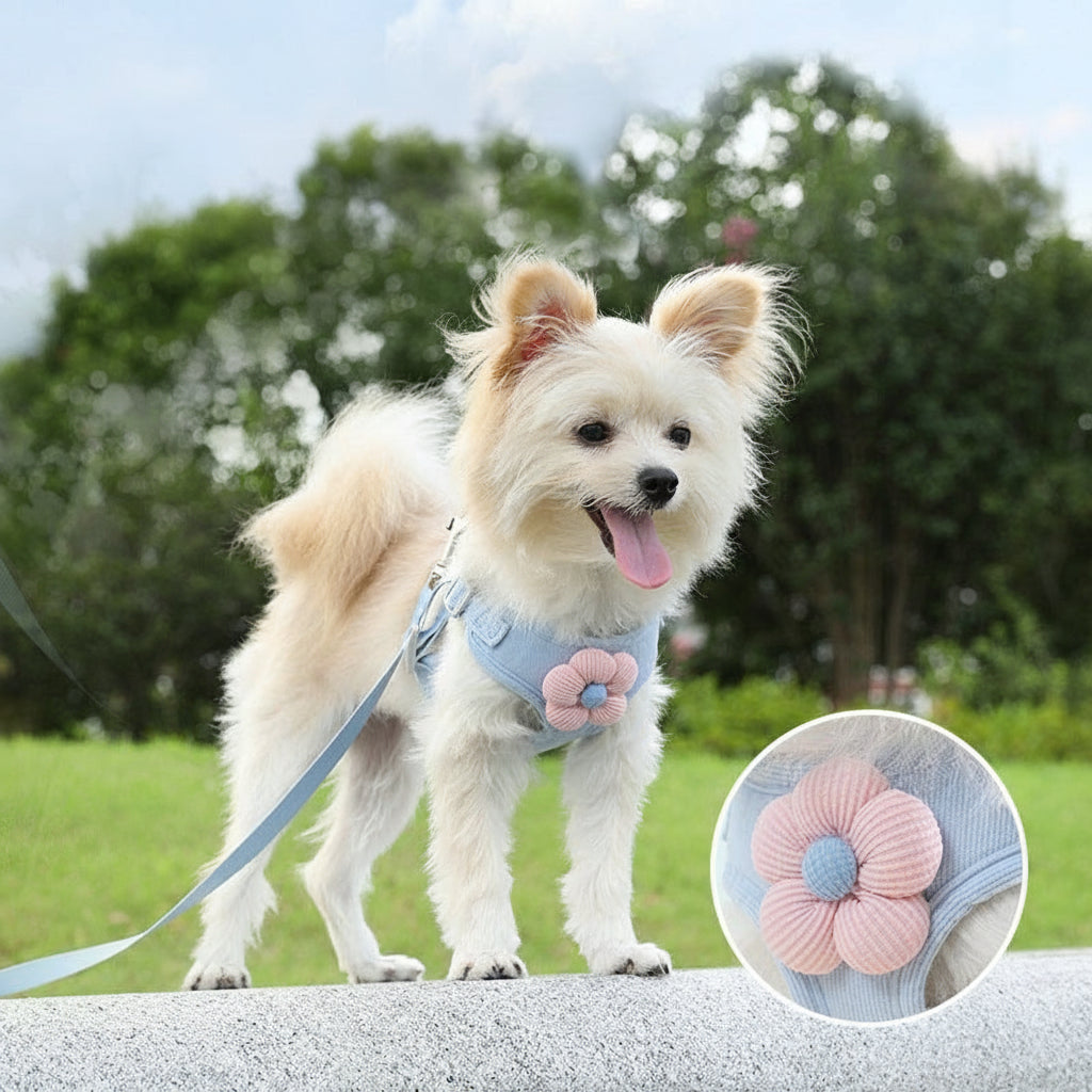 Puppy Comfort Harness & Leash Set
