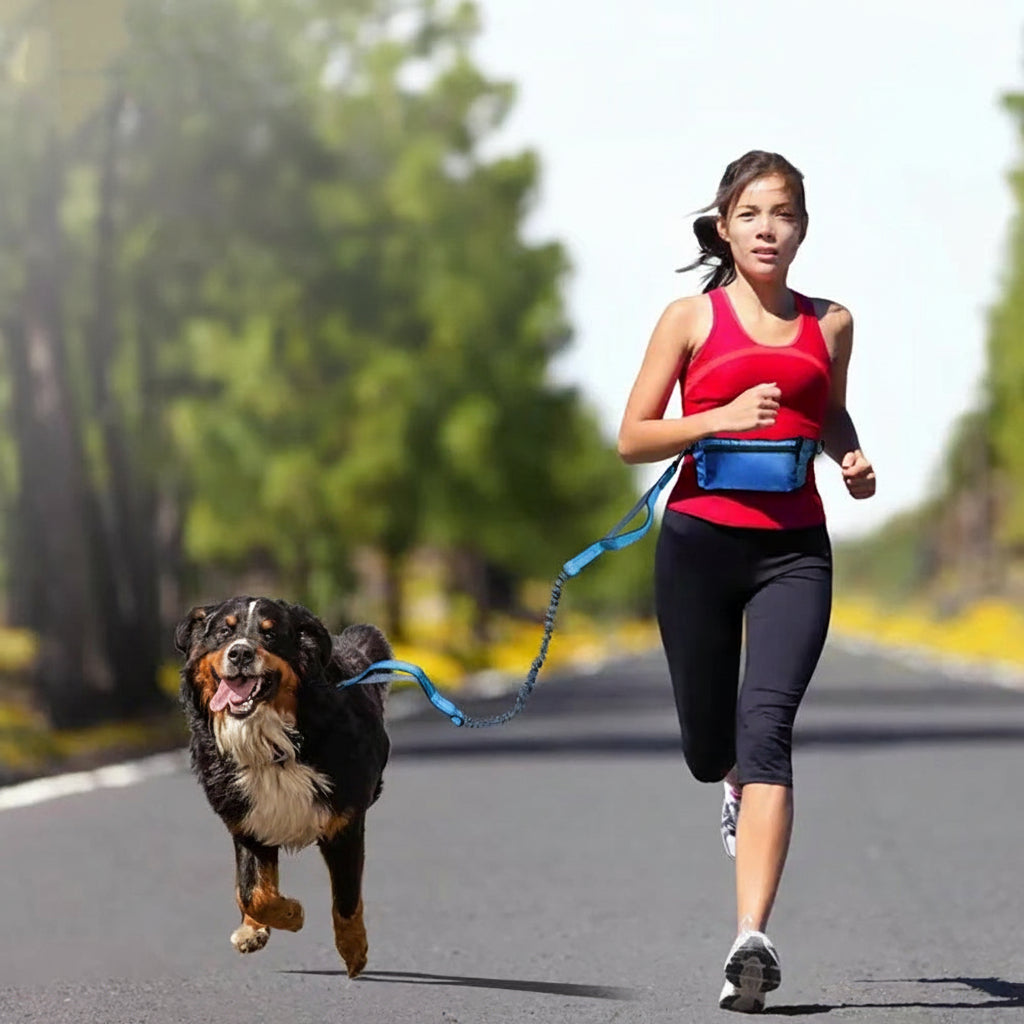 Luxury Pet Harness & Leash Set