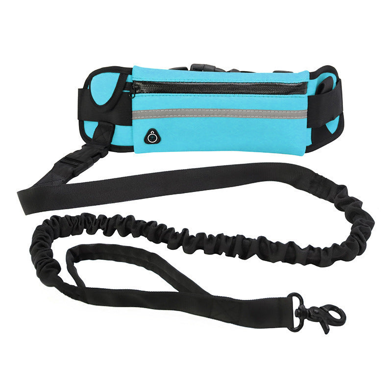 Luxury Pet Harness & Leash Set