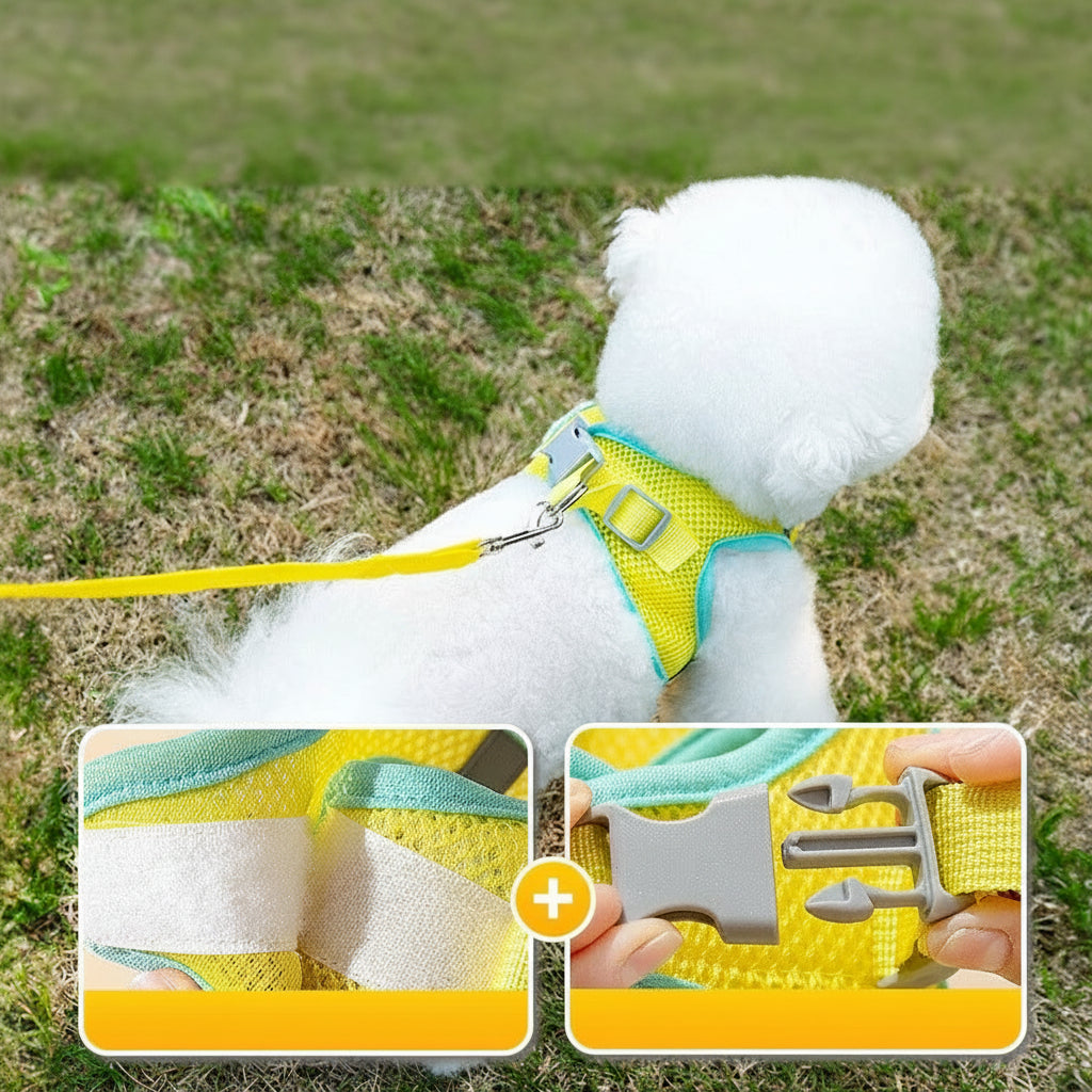 Big-Eyes Cartoon Pet Harness & Leash Set