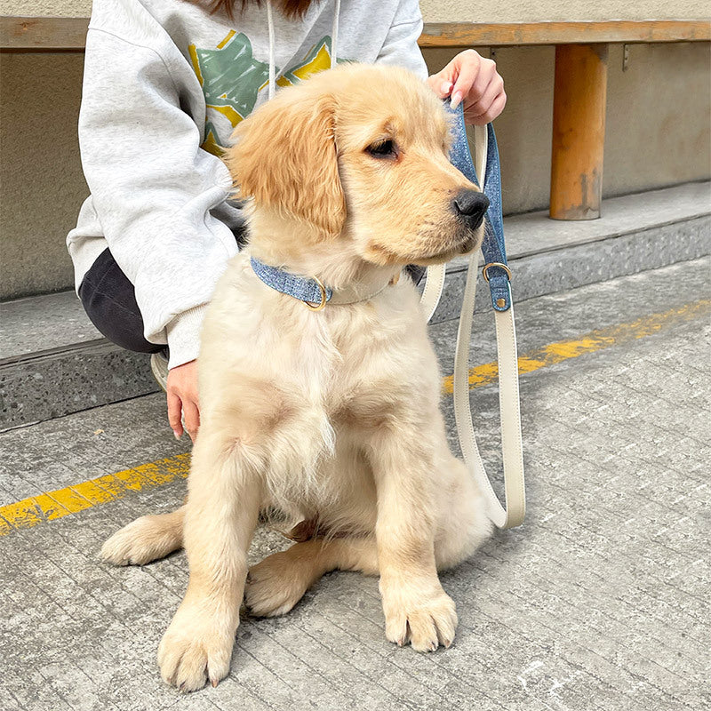 Leather Collar & Leash Set