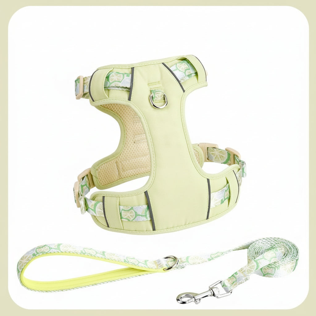 Adjustable Dog Vest Harness with Traction Rope