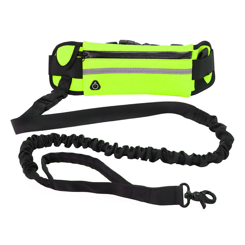 Luxury Pet Harness & Leash Set