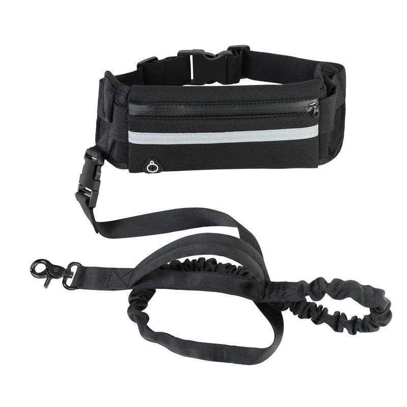 Luxury Pet Harness & Leash Set