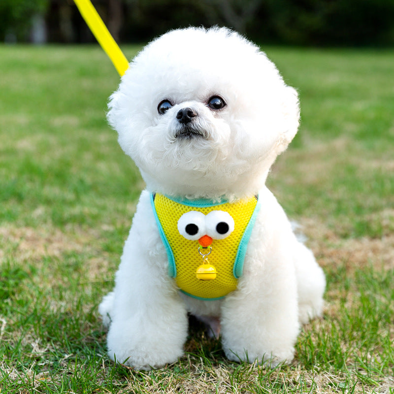 Big-Eyes Cartoon Pet Harness & Leash Set