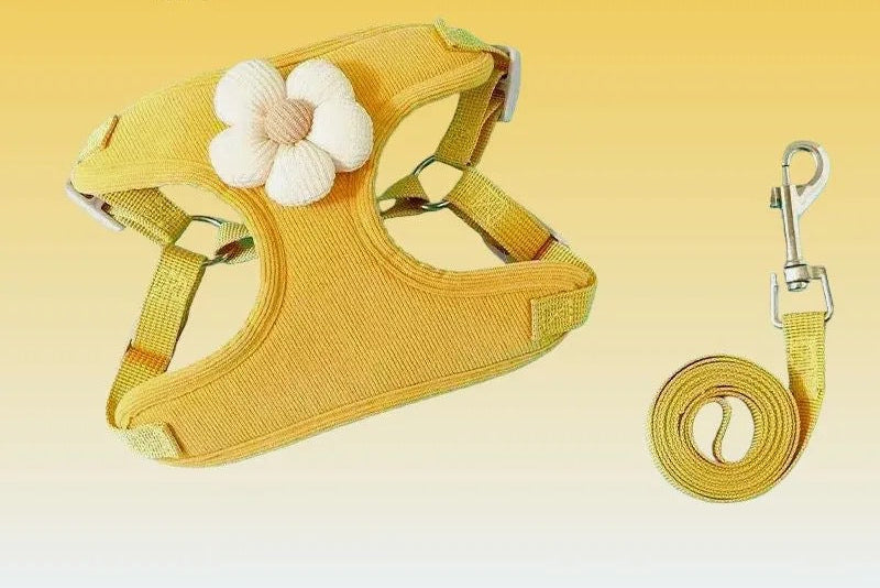 Puppy Comfort Harness & Leash Set
