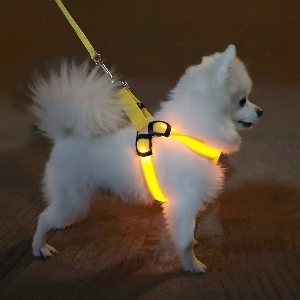 Light-Up Dog Harness