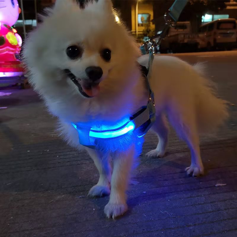 Light-Up Dog Harness