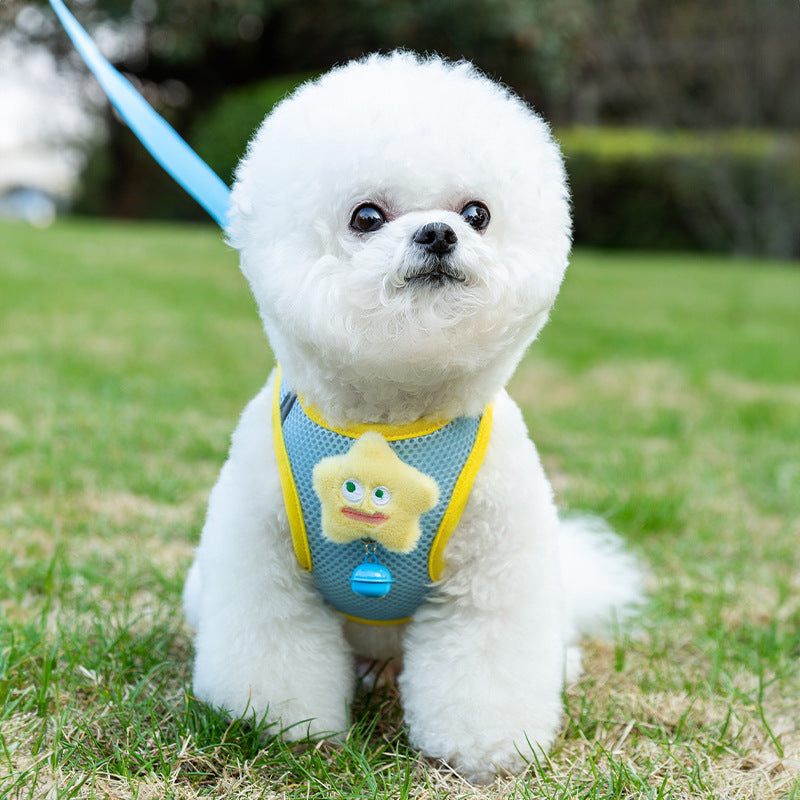 Big-Eyes Cartoon Pet Harness & Leash Set